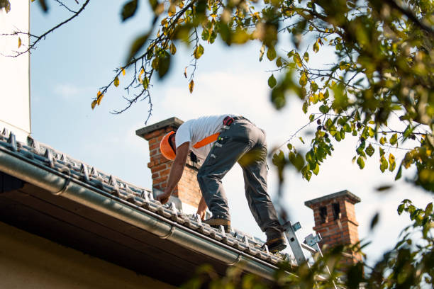 Best New Roof Installation  in Lake Zurich, IL